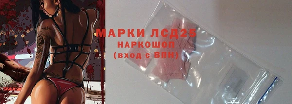 сатива Няндома