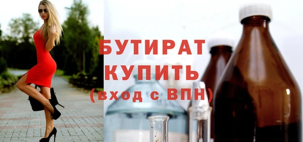сатива Няндома