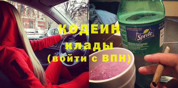 сатива Няндома
