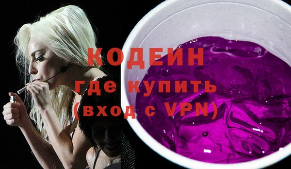 сатива Няндома