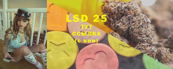 сатива Няндома