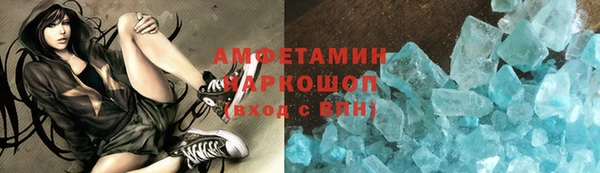 сатива Няндома