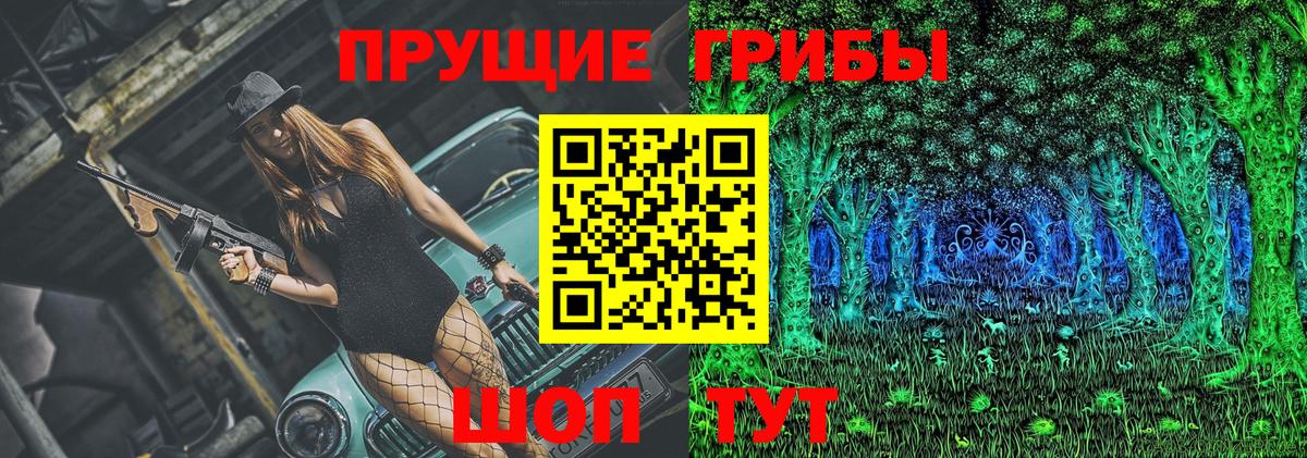 Псилоцибиновые грибы мицелий Кунгур