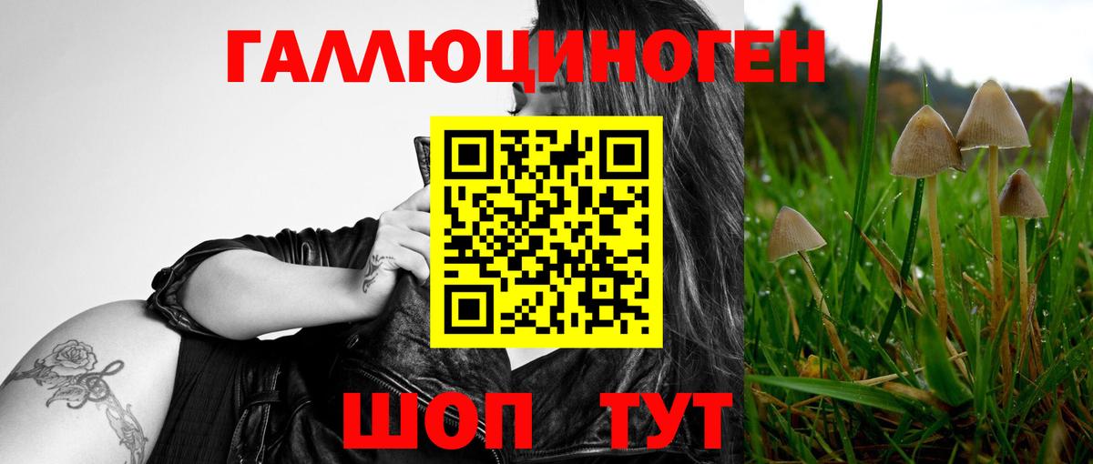 Кунгур  Конопля  A PVP СК кристаллы  Мефедрон кристаллы  ГАШ  Конопля  Мефедрон  