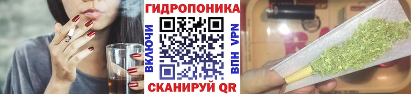 Канабис планчик  мега   Кунгур 